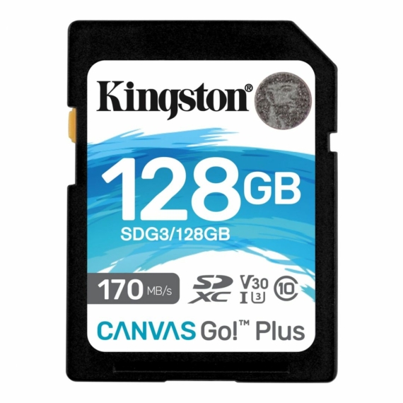 Kingston Canvas Go! Plus 128 Gb
